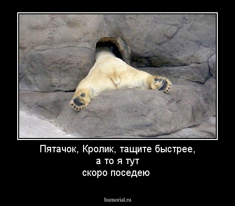 Пятачок, Кролик, тащите быстрее, а то я тут скоро поседею