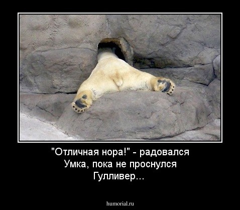 "Отличная нора!" - радовался Умка, пока не проснулся Гулливер...