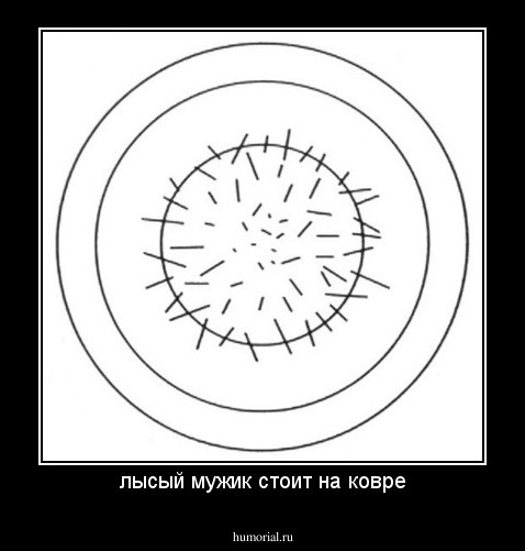 лысый мужик стоит на ковре
