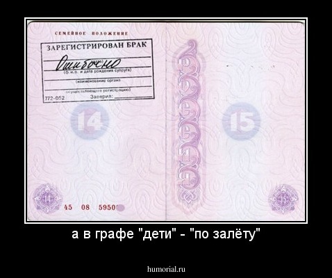 а в графе "дети" - "по залёту"