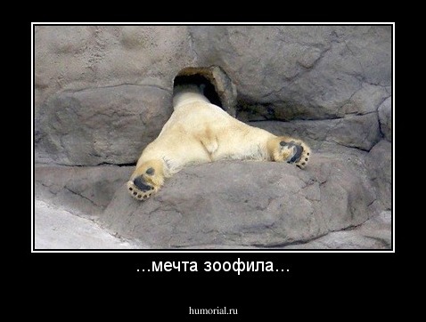 ...мечта зоофила...