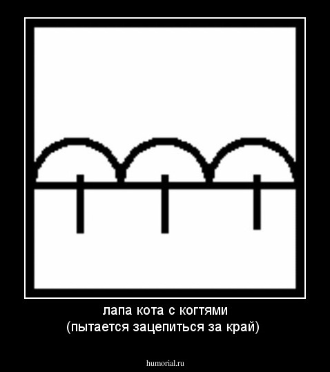 лапа кота с когтями (пытается зацепиться за край)