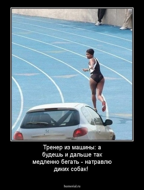 Тренер из машины: а будешь и дальше так медленно бегать - натравлю диких собак!