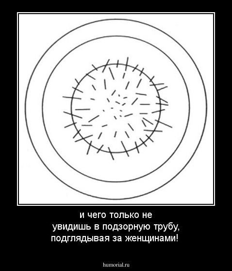 и чего только не увидишь в подзорную трубу, подглядывая за женщинами!