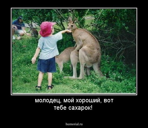 молодец, мой хороший, вот тебе сахарок!