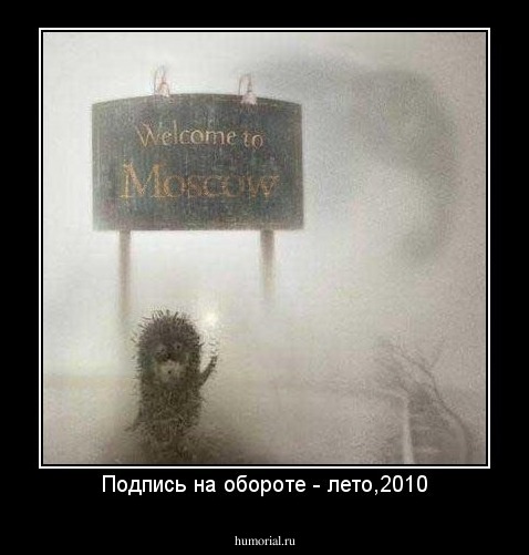 Подпись на обороте - лето,2010