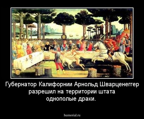 Губернатор Калифорнии Арнольд Шварценеггер разрешил на территории штата однополые драки.