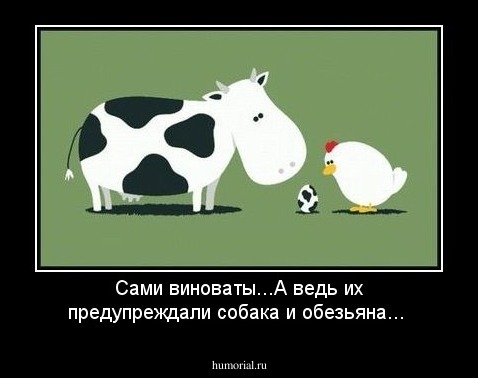 Сами виноваты...А ведь их предупреждали собака и обезьяна...
