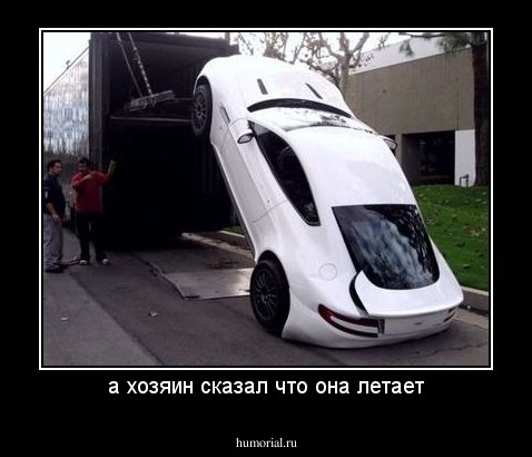 а хозяин сказал что она летает