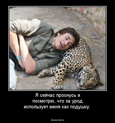 Я сейчас проснусь и посмотрю, что за урод использует меня как подушку. 