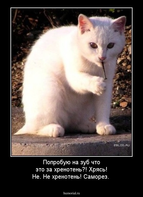 Попробую на зуб что это за хренотень?! Хрясь! Не. Не хренотень! Саморез.