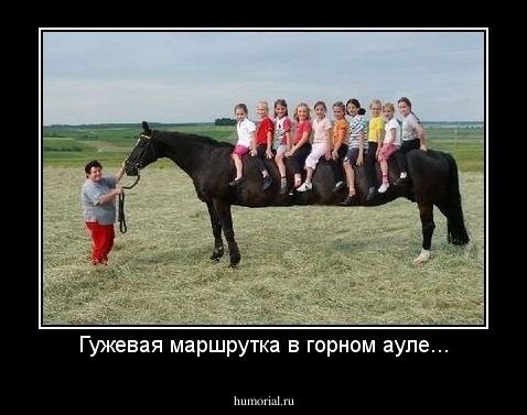 Гужевая маршрутка в горном ауле...