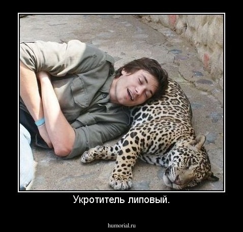Укротитель липовый.