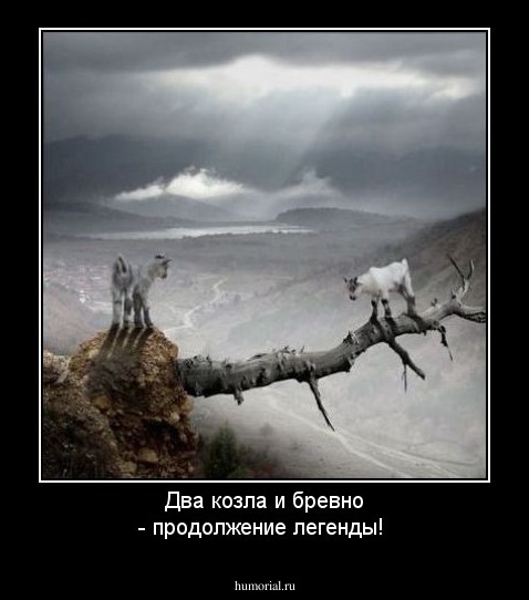 Два козла и бревно - продолжение легенды!