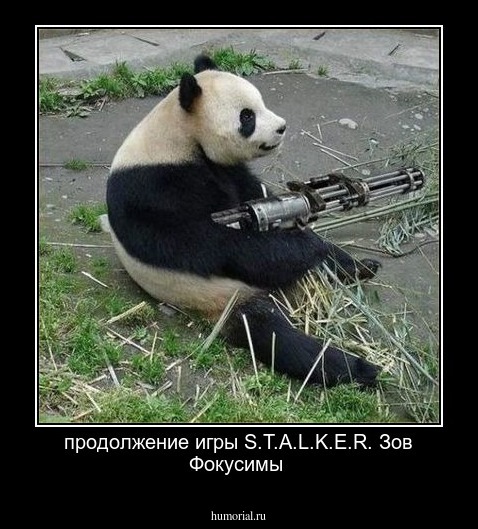 продолжение игры S.T.A.L.K.E.R. Зов Фокусимы