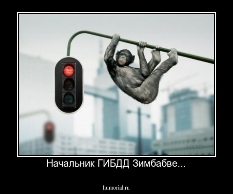 Начальник ГИБДД Зимбабве...