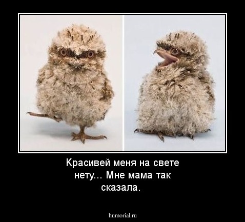 Kрасивей меня на свете нету... Мне мама так сказала.