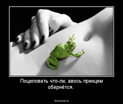 Поцеловать что-ли, авось принцем обернётся.