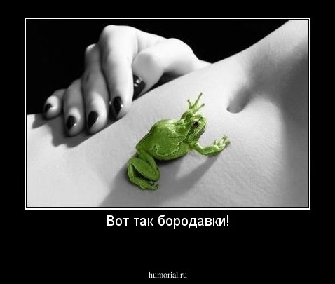 Вот так бородавки!

