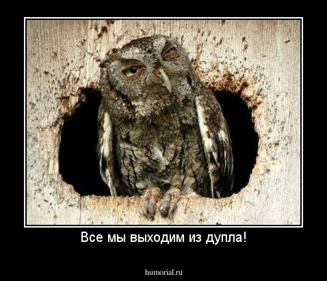 Все мы выходим из дупла!