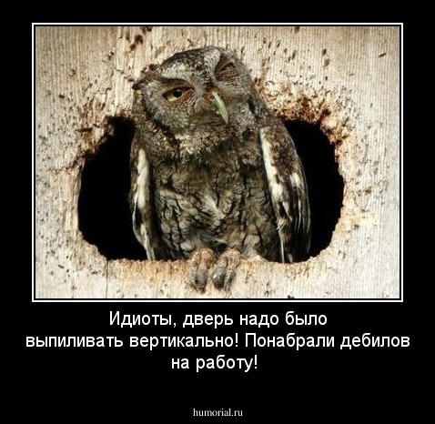 Идиоты, дверь надо было выпиливать вертикально! Понабрали дебилов на работу!