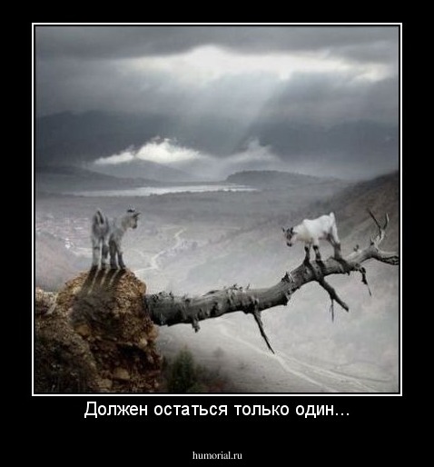 Должен остаться только один...