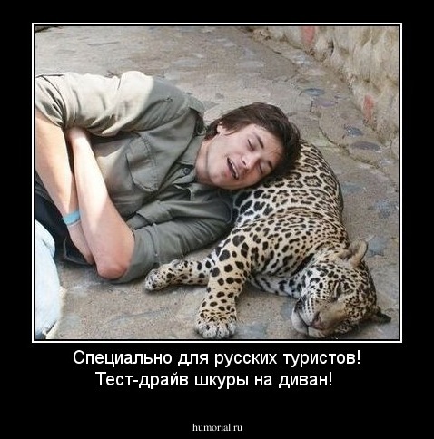 Специально для русских туристов! Тест-драйв шкуры на диван!