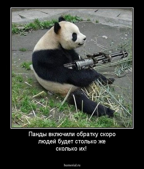 Панды включили обратку скоро людей будет столько же сколько их!