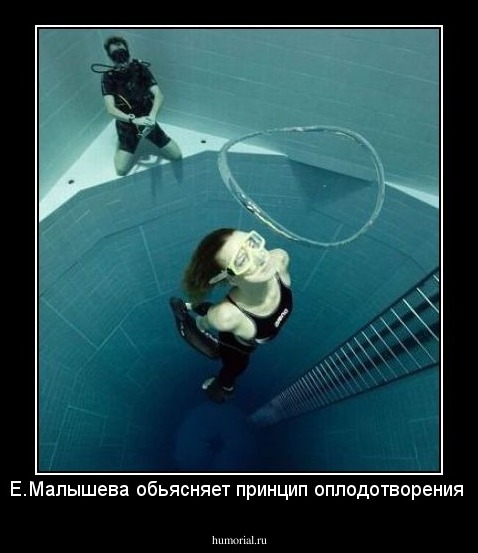 Е.Малышева обьясняет принцип оплодотворения