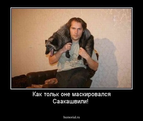 Как только не маскировался Саакашвили!