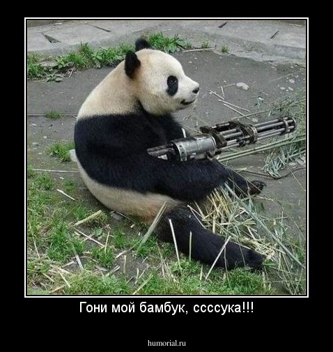 Гони мой бамбук, ссссука!!!