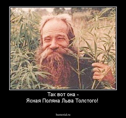 Так вот она - Ясная Поляна Льва Толстого!