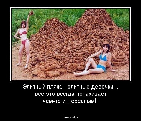 Элитный пляж... элитные девочки... всё это всегда попахивает чем-то интересным!