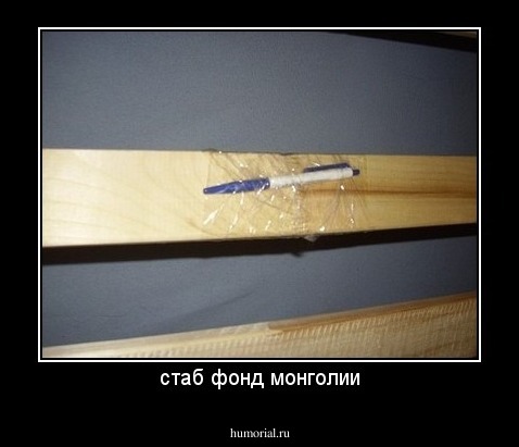 стаб фонд монголии
