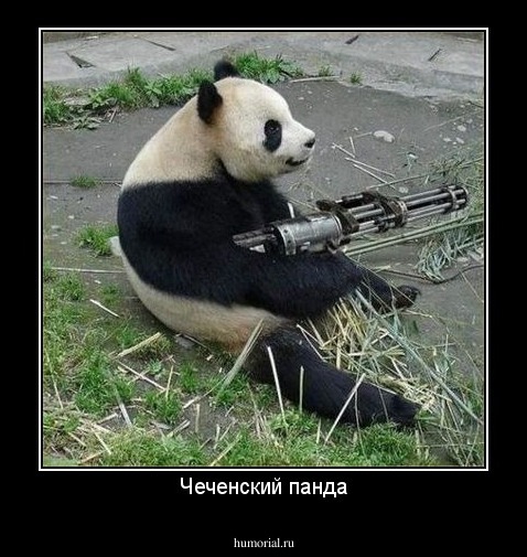 Чеченский панда