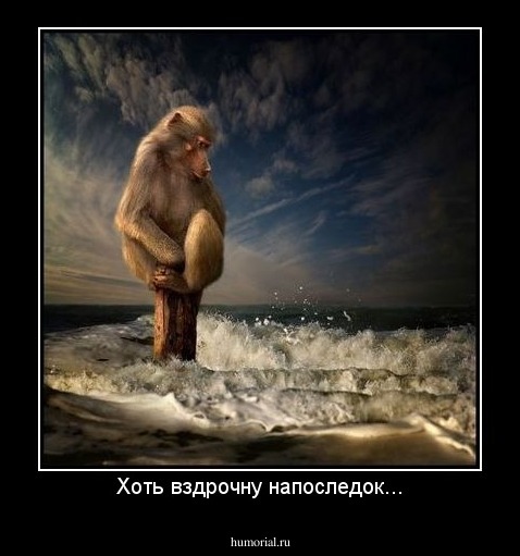 Хоть вздрочну напоследок...