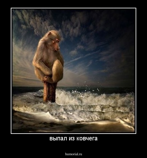 выпал из ковчега