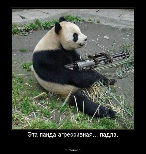 Эта панда агрессивная... падла.