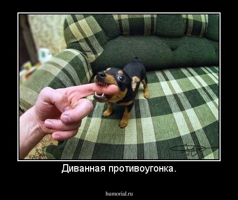Диванная противоугонка.