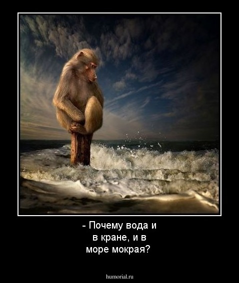 - Почему вода и в кране, и в море мокрая?