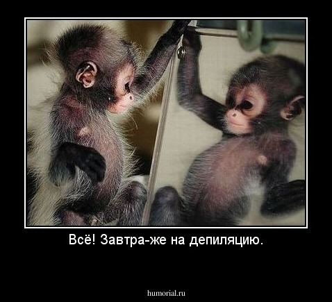 Всё! Завтра-же на депиляцию.
