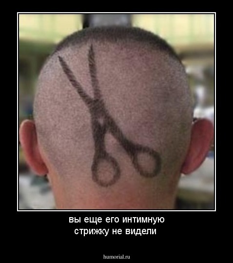 вы еще его интимную стрижку не видели