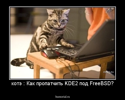 котэ : Как пропатчить KDE2 под FreeBSD?