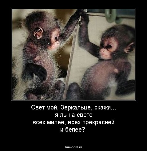 Свет мой, Зеркальце, скажи... я ль на свете всех милее, всех прекрасней и белее?