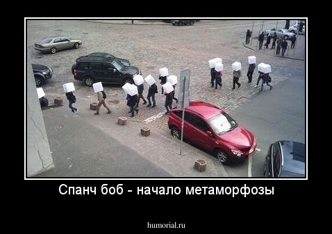 Спанч боб - начало метаморфозы