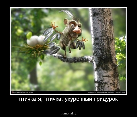 птичка я, птичка, укуренный придурок
