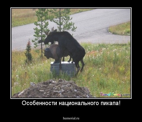 Особенности национального пикапа!