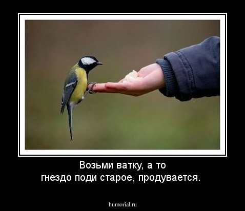 Возьми ватку, а то гнездо поди старое, продувается.