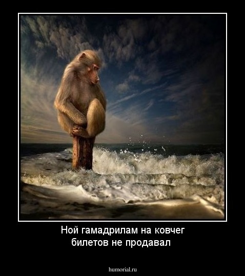 Ной гамадрилам на ковчег билетов не продавал