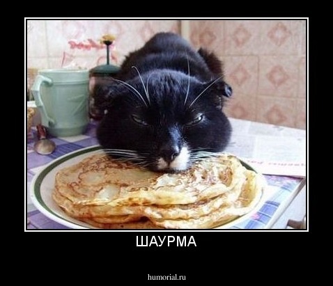 ШАУРМА